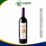 Vino Santiago Queirolo Borgoña Botella 750 Ml